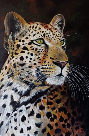 Leopardo